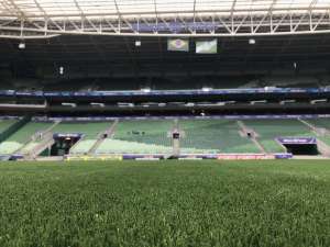 Gramado sintético reaproxima Palmeiras e WTorre, que prometem museu em breve