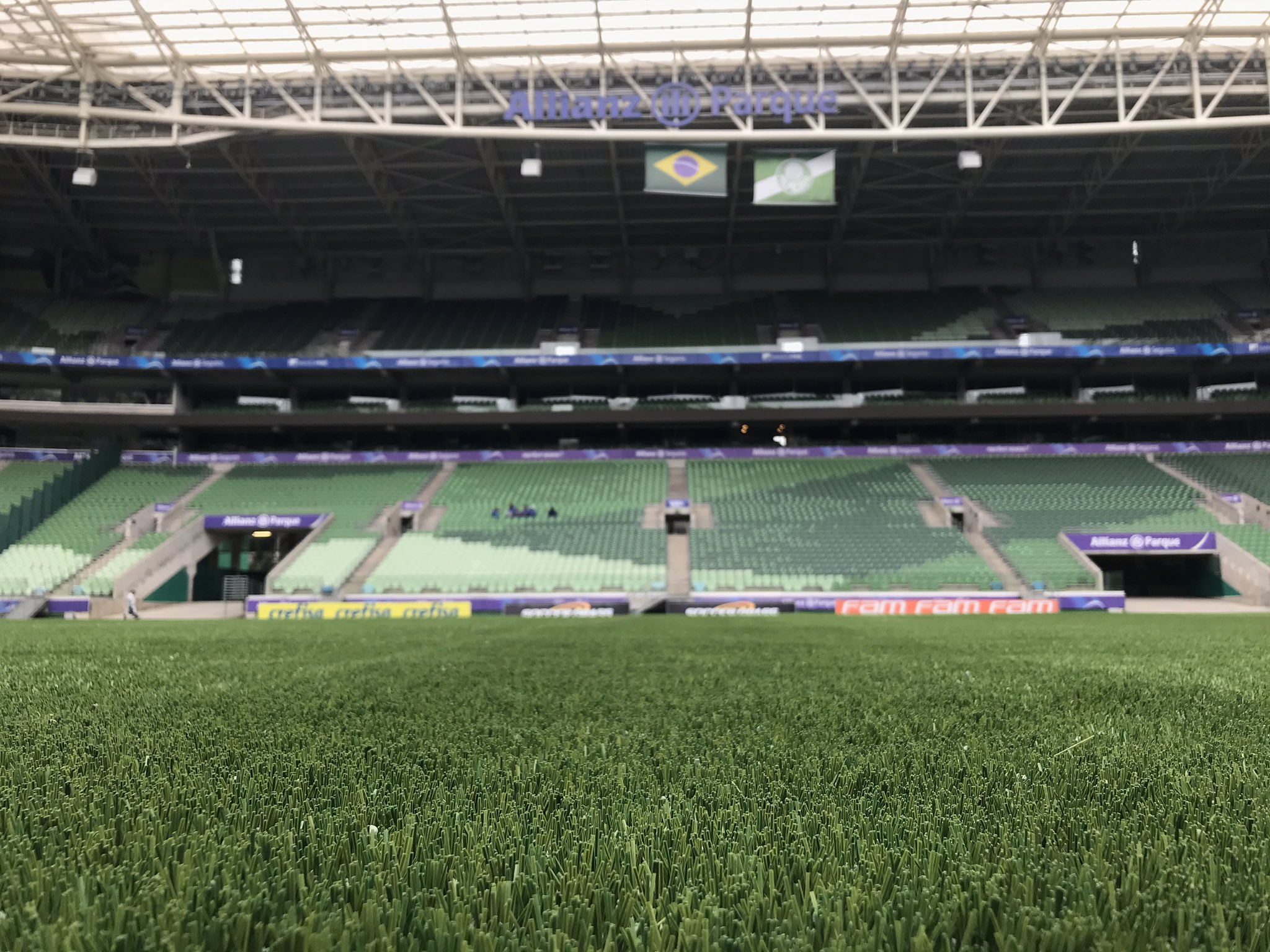 Gramado sintético reaproxima Palmeiras e WTorre, que prometem museu em breve