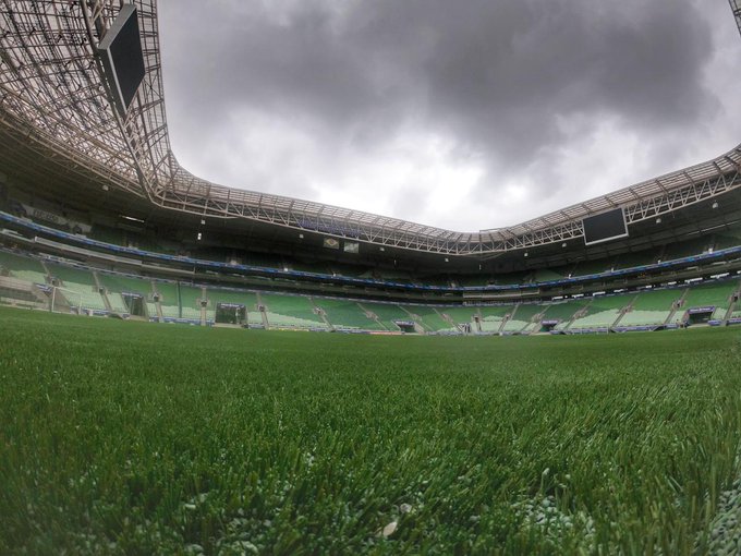 Curiosidade e tempo de bola marcam primeiro treino do Palmeiras no piso sintético