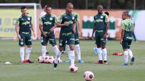 Palmeiras x Mirassol - Verdão estreia gramado sintético contra adversário perigoso