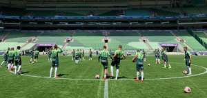 Palmeiras aposta em volta para casa e estreia em gramado para bater Mirassol