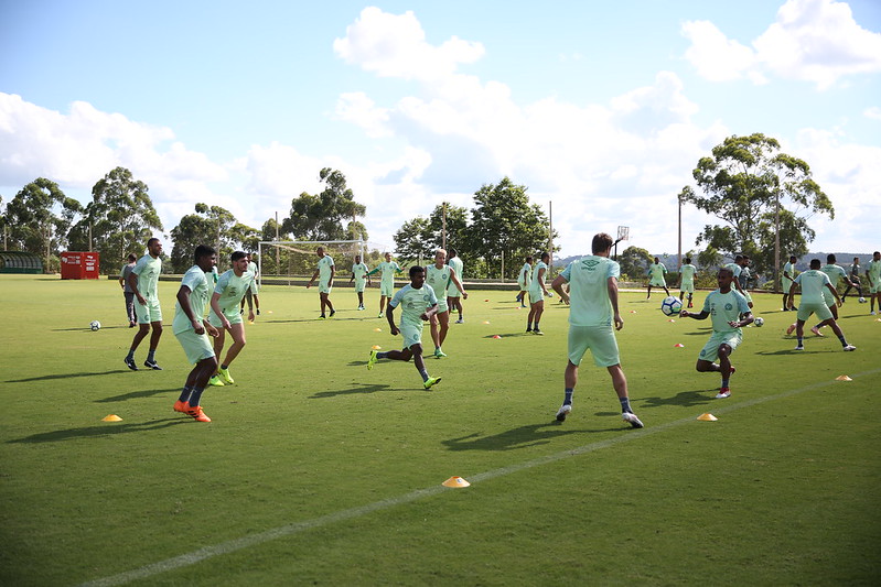 Catarinense: Cobra ‘invade’ treino de time da Série B do Brasileiro