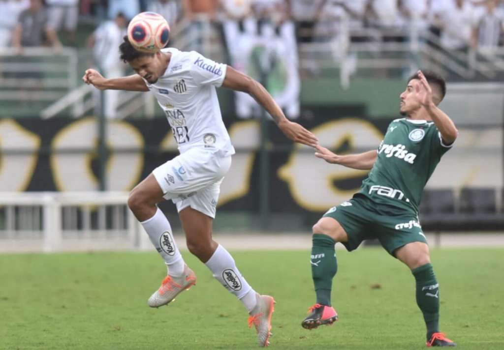 Santos e Palmeiras ficaram no empate sem gols (Foto: Ivan Storti/Santos)