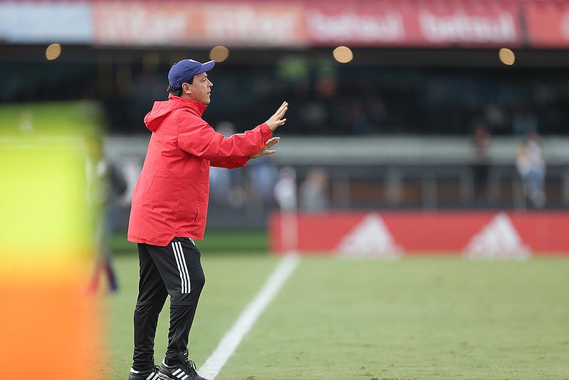 Libertadores: Fernando Diniz lamenta punição e ausência do São Paulo no gramado na estreia
