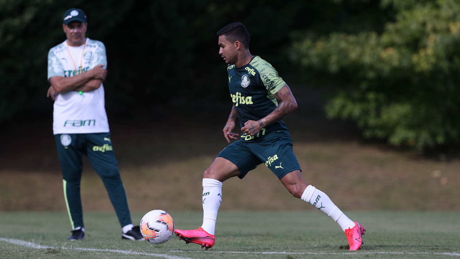 Tigre-ARG x Palmeiras – Alviverde tenta começar Libertadores com o ‘pé direito’