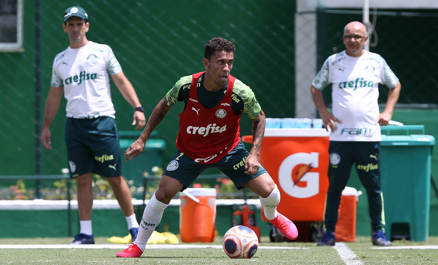 Marcos Rocha treina e volta ao Palmeiras neste sábado; Weverton não deve jogar