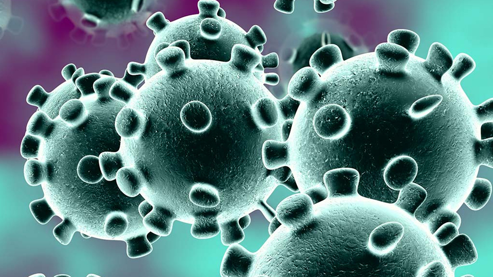 Por pandemia do Coronavírus, diretoria da Ponte suspende avaliações da base