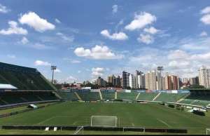 Paulistão: Guarani coloca Brinco de Ouro à disposição das autoridades