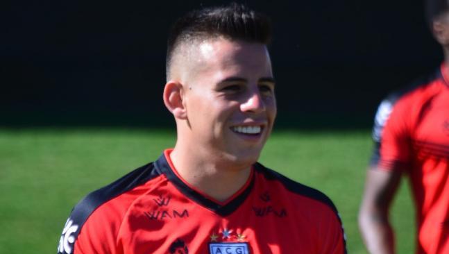 Vaca no pasto. (Foto: Paulo Marcos / Atlético-GO)