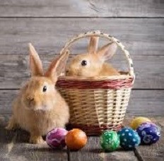 Feliz páscoa, expressão de formalidade na atual conjuntura