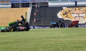Paulistão: Novorizontino aproveita parada para cuidar do gramado