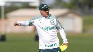 Técnico do Palmeiras vai passar por cirurgia de retirada da vesícula nesta quinta