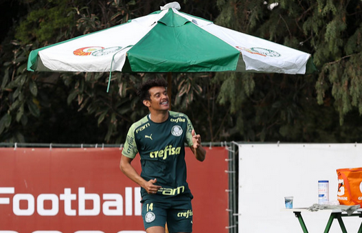Ex-meia do Fluminense é um dos infectados por covid-19 no Palmeiras