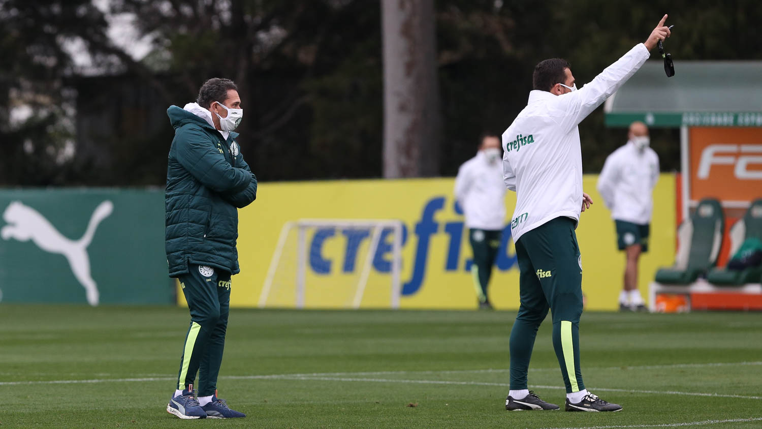 Recuperado de Covid, técnico volta a comandar treino do Palmeiras