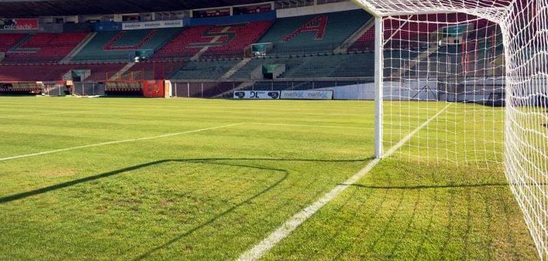 Canindé de volta ao Paulistão. (Foto: Divulgação)