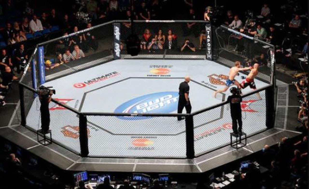 Os melhores sites para você apostar em MMA e UFC