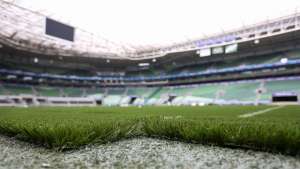 Palmeiras vai colocar fotos de torcedores nos assentos do estádio por até R$ 40