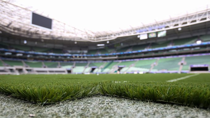 Palmeiras vai colocar fotos de torcedores nos assentos do estádio por até R$ 40