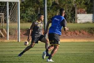 Paulistão: Eliminado, Novorizontino pode observar jogadores contra o Santos