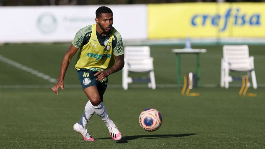 Palmeiras treina em gramado sintético de olho em jogo no seu estádio