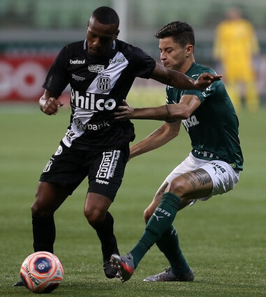 A Ponte Preta lutou até o fim, mas não conseguiu a vaga na final (Foto: César Greco)