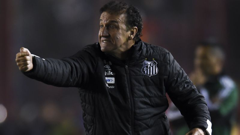 Ídolo em campo e técnico de 2018 são os principais candidatos ao comando do Santos