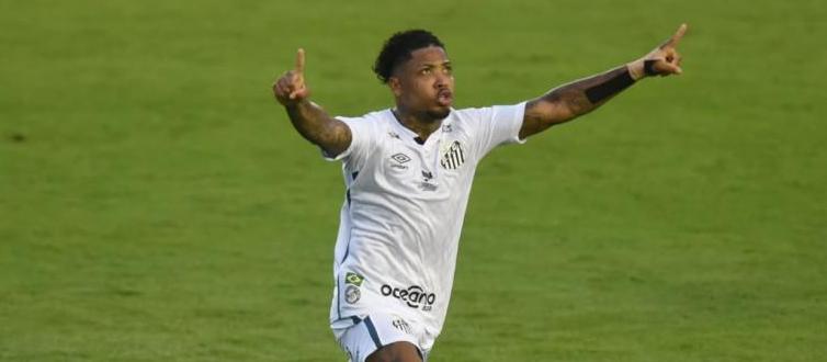 Marinho fez o 1º gol do Santos no Brasileirão. (Foto: Divulgação)