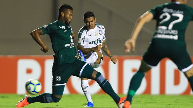 Palmeiras x Goiás – Verdão é favorito contra um time com surto de covid