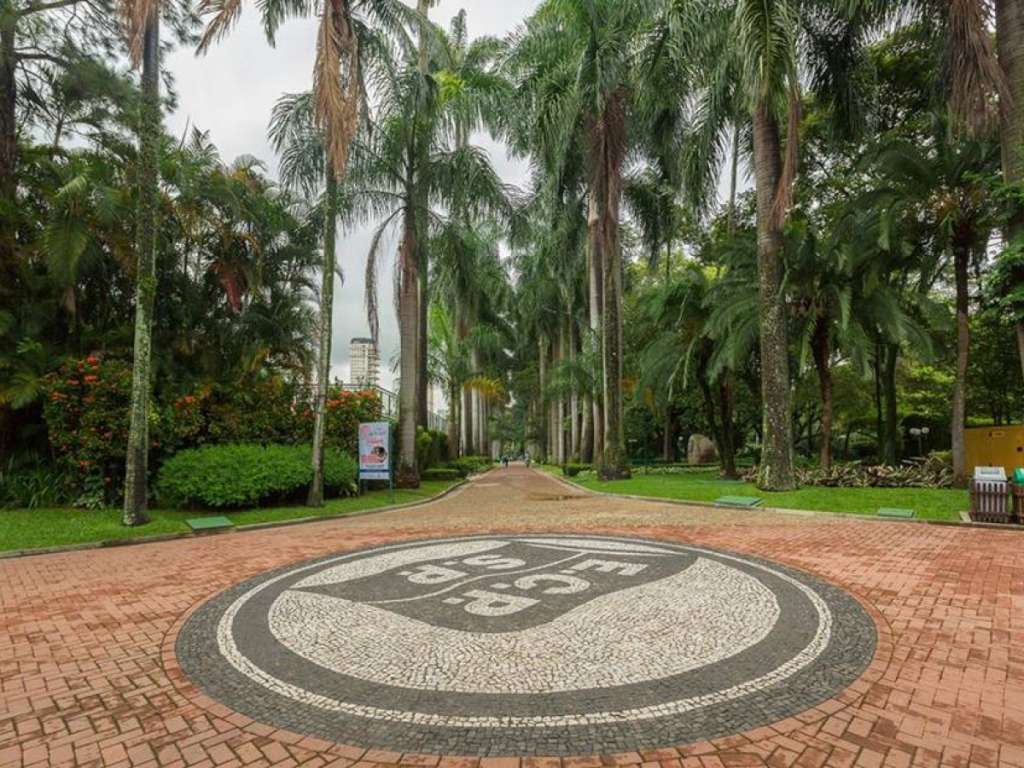 Auditoria interna aponta problemas no tratamento a atletas no Pinheiros