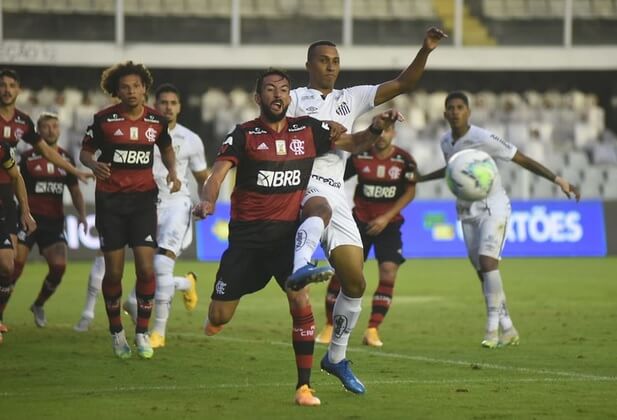 Flamengo segurou a pressão do Santos (Foto: Ivan Storti/Santos)