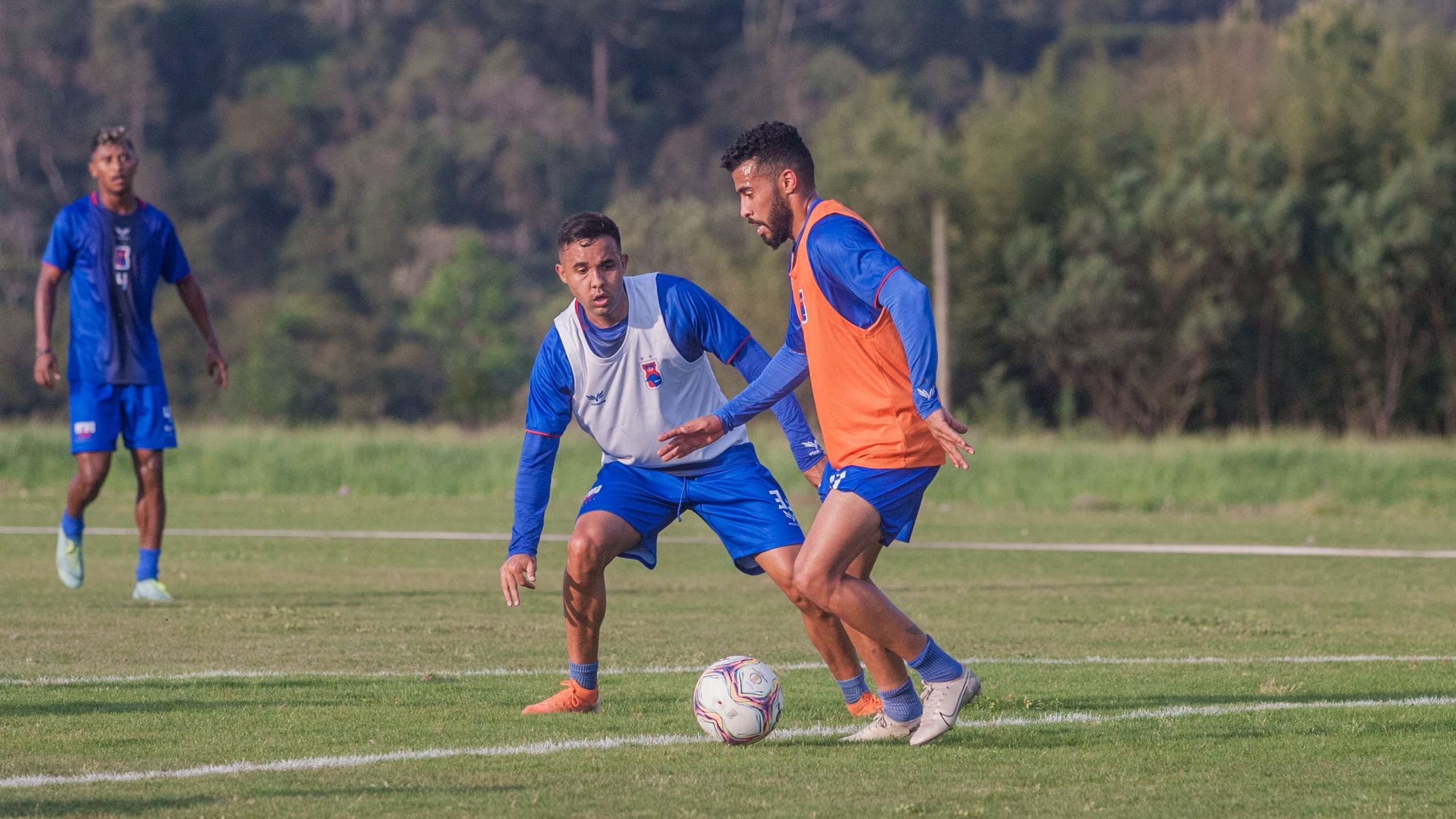 Paraná x CRB – Tricolor reforçado e buscar retomar a liderança
