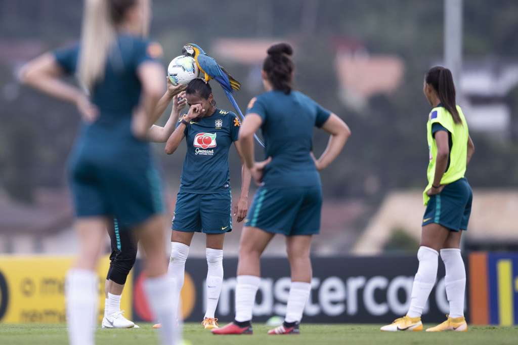 Arara-azul pousa nas costas de zagueira da Seleção Brasileira. FOTOS AQUI!