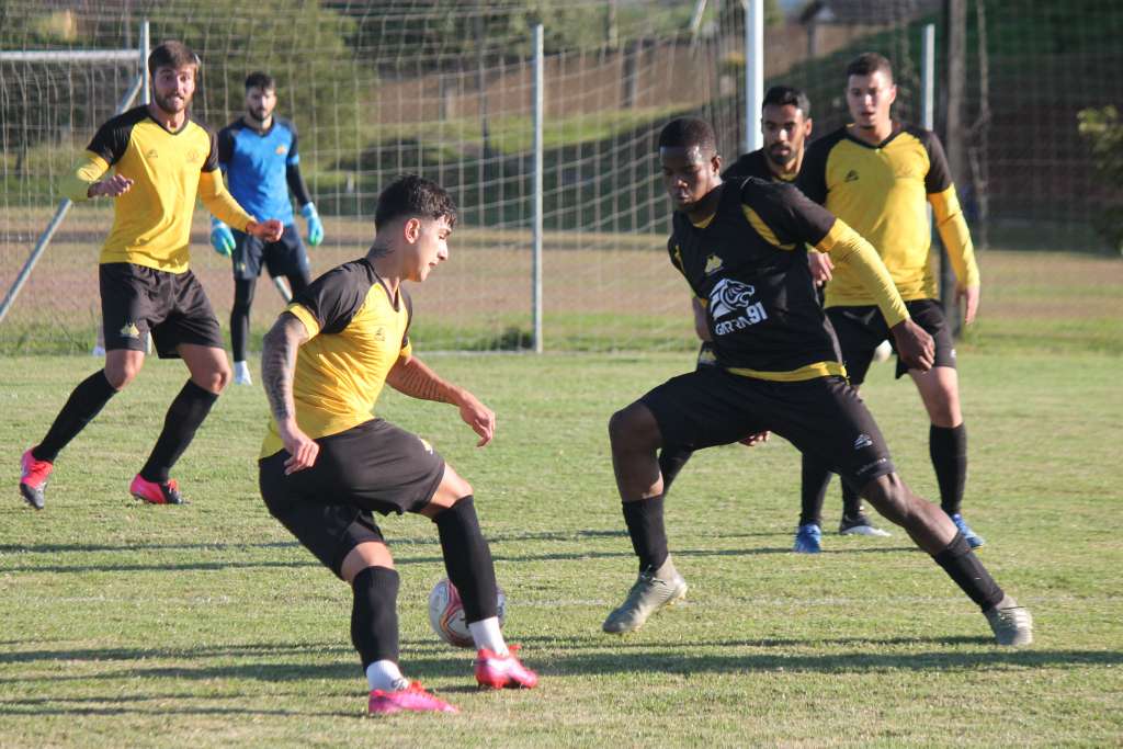 A cobrança da torcida aconteceu no dia da reapresentação do elenco (Foto: Celso da Luz/www.criciuma.com.br)