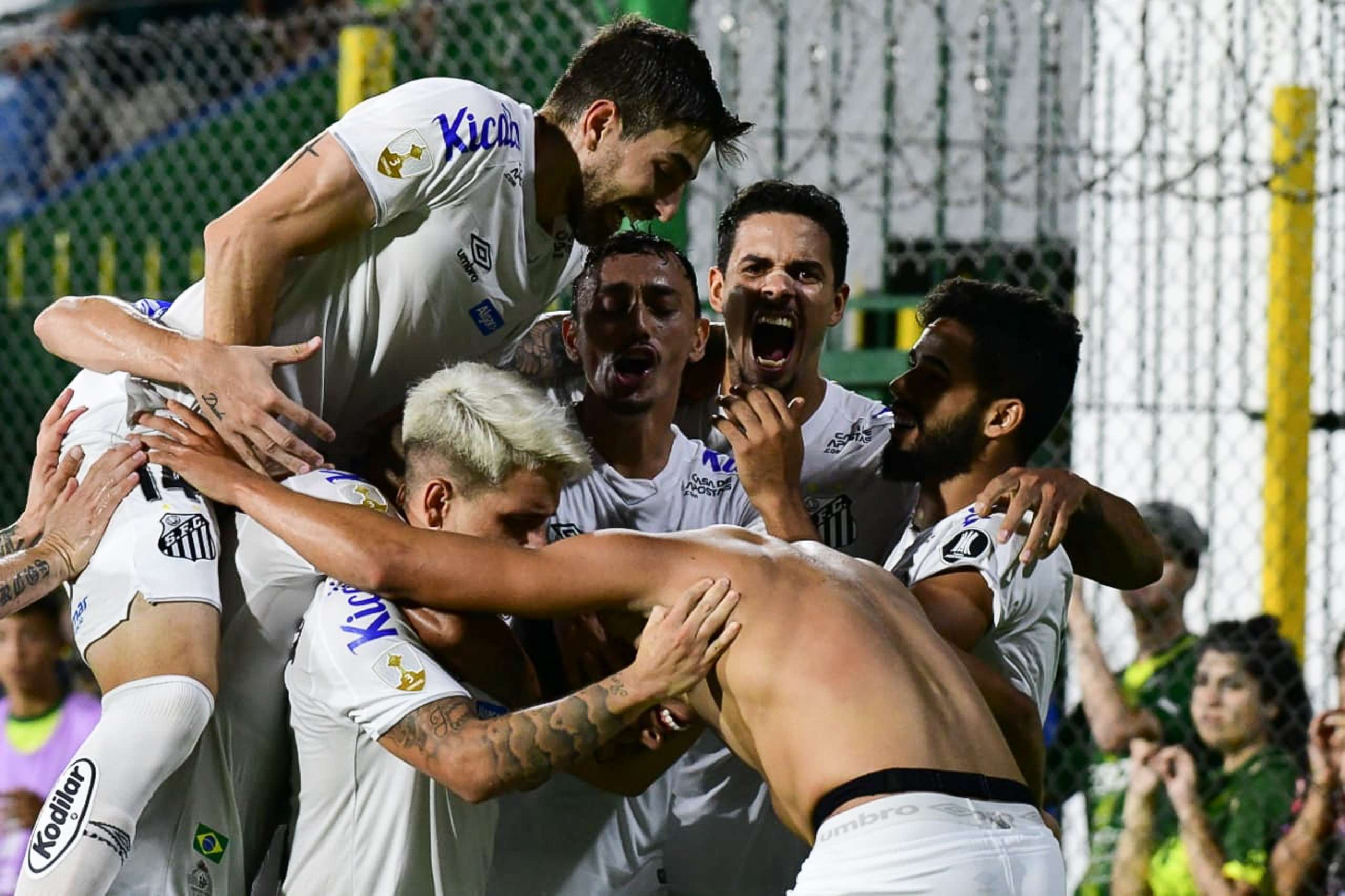 PLACAR FI: Com vitória do Santos na Libertadores, confira TODOS os resultados do dia