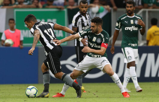 Saiba como lucrar até 260% com Botafogo x Palmeiras pela 14ª rodada do Brasileirão