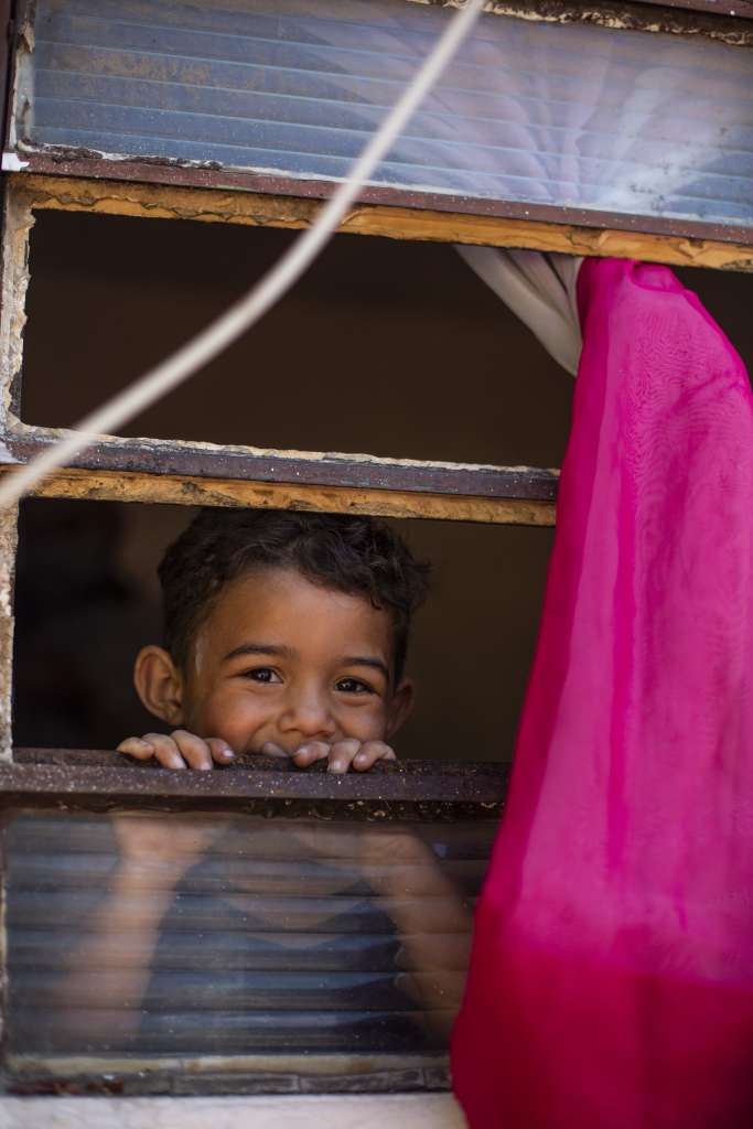 Foto: Vivian R. Ferreira 