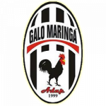 Galo Maringá - PR