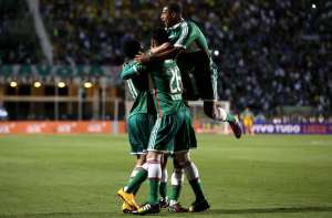 Titular e cotado na Ásia, volante Marcelo Oliveira negocia renovação com Palmeiras