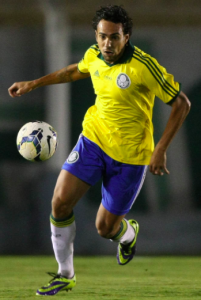 Palmeiras pega Botafogo em busca de um pouco de paz