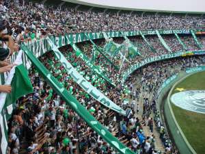 Coritiba pode perder 20 mandos de campo por papel higiênico