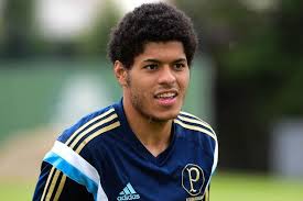 Leandro pode não atuar mais neste ano pelo Palmeiras