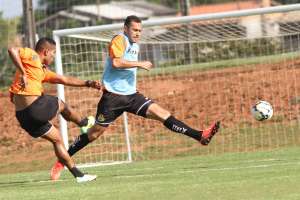 Paulistão: Botafogo anuncia pacotão com Eli Sabiá, Renan Rocha e mais dois