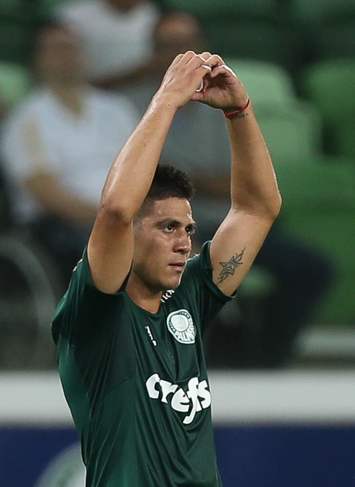 Oswaldo de Oliveira admite que Palmeiras tinha obrigação de vencer o Rio Claro 2 0002050058674 img