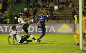Penapolense x Palmeiras - CAP tenta surpreender Verdão para sair do Z4