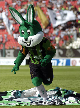 O Coelho que já foi pato