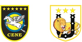 Nove títulos estaduais que foram para a Série B do Sul-Mato-Grossense