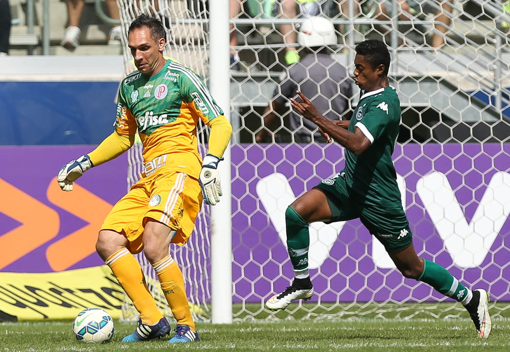 César Grecco/ Ag. Palmeiras