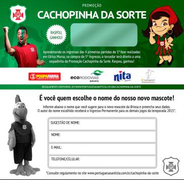 Segundona: Técnico Serginho quer Portuguesa Santista determinada e vencedora 3 0002050088300 img