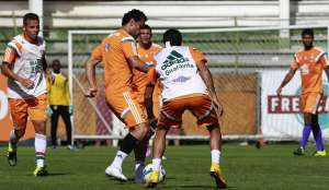 Brasileirão: Recuperado de lesão, Fred volta a treinar no Fluminense