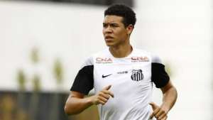 Em recuperação, Elano e Marquinhos Gabriel voltam a treinar no Santos
